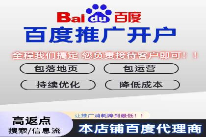 百度SEO推广策略深度解读：某企业网络营销的胜利之路